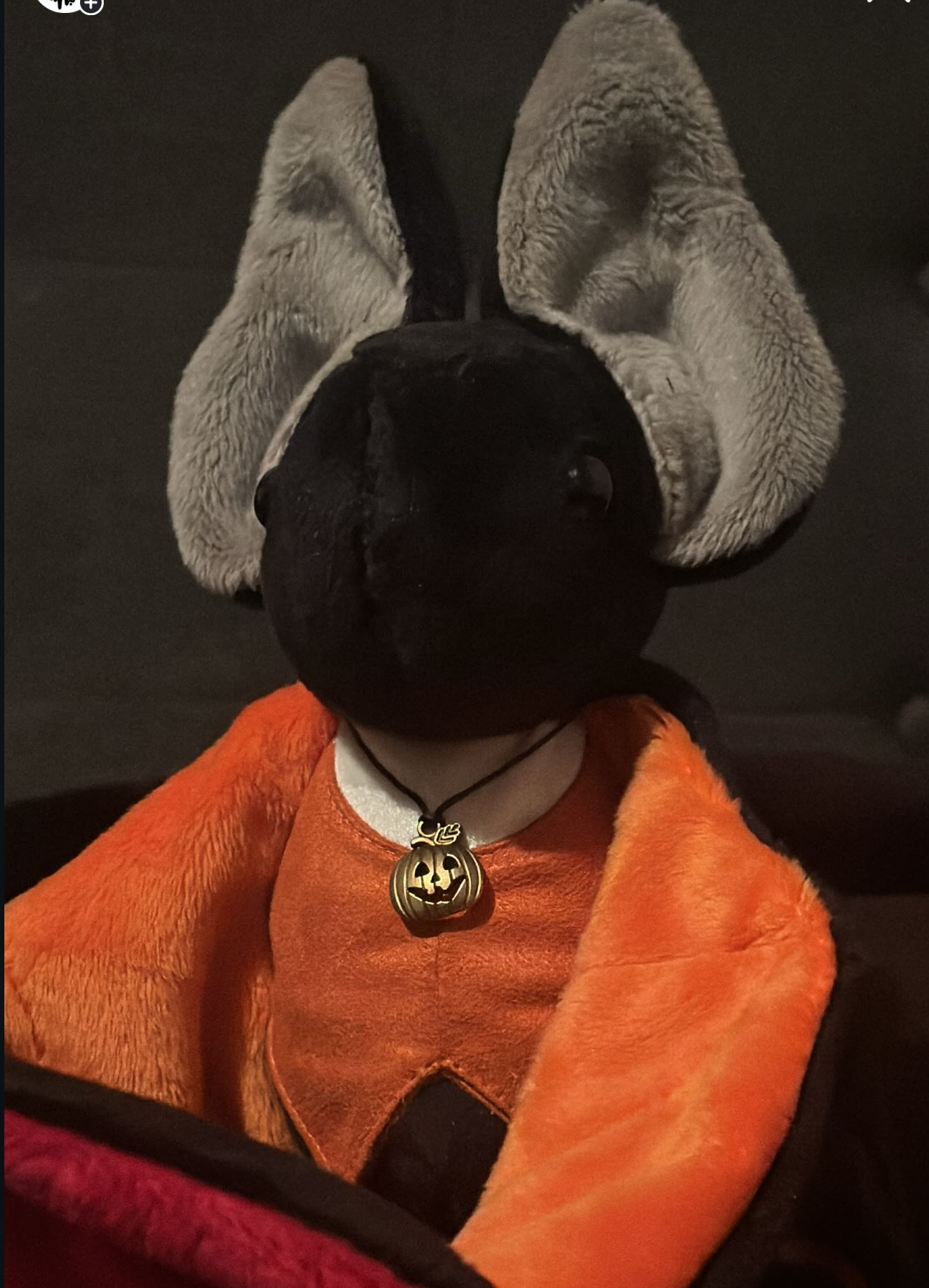 Stuffed animal with large ears and orange outfit on a dark background