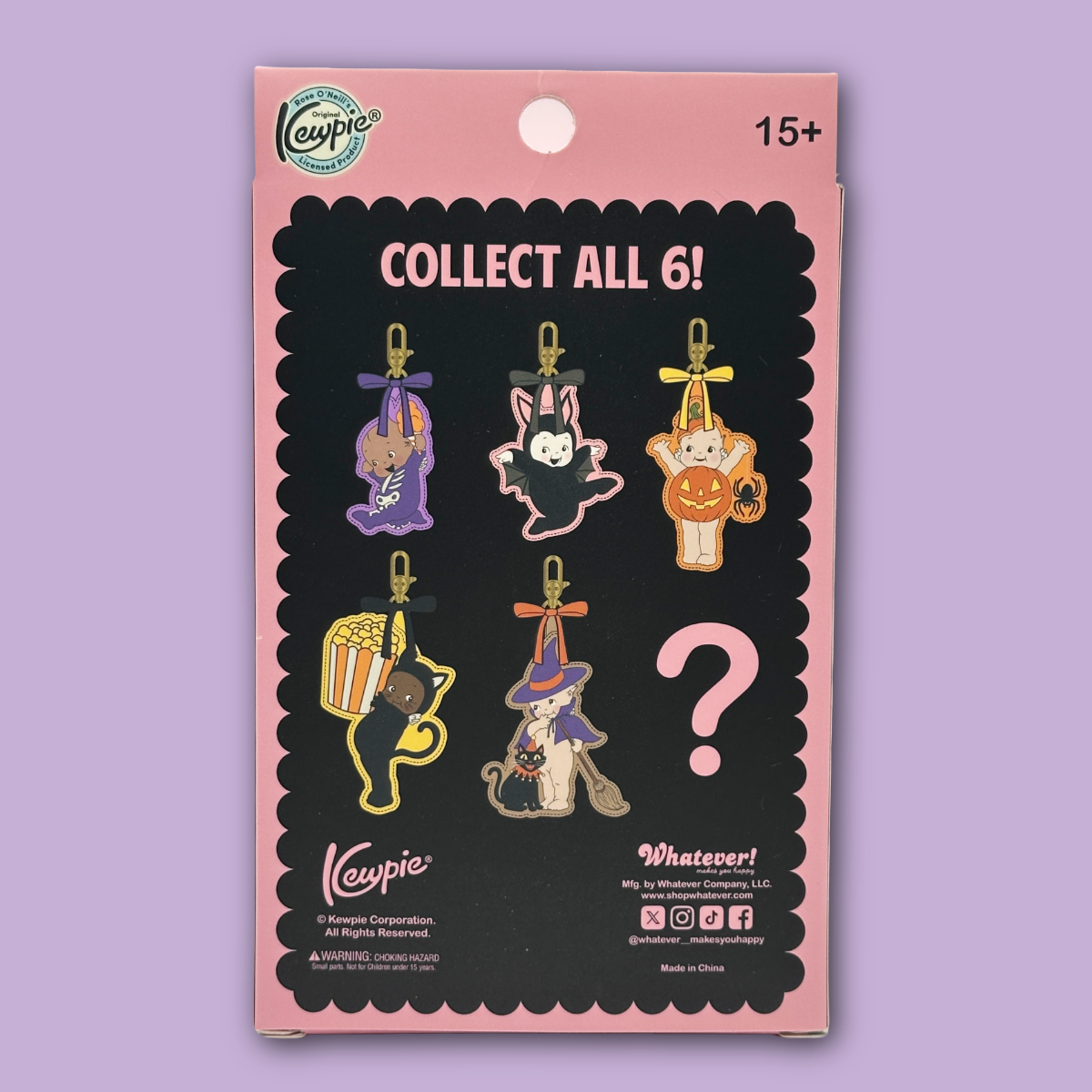 Kewpie mystery padded bag charm box back packaging. Showing the possibilities of the kewpie charms you may get. 
